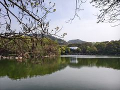 -白马涧龙池景区