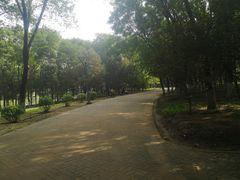 -大兴滨河森林公园