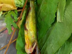 -玉林串串香(大成路店)