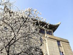-武汉大学-樱园