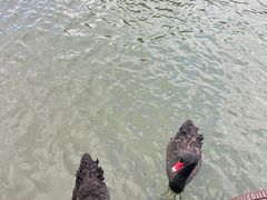 -长鹿旅游休博园