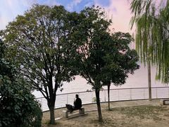 -武昌江滩