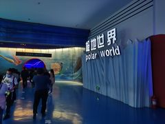 -泉城欧乐堡海洋极地世界