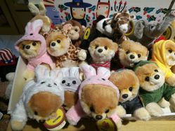 -Nuzzle(静安大悦城店)