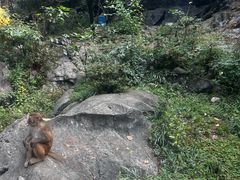 -千岛湖东南湖区