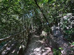 -海南热带雨林国家公园吊罗山景区