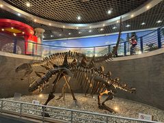 -国家自然博物馆