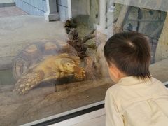 -哈尔滨北方森林动物园