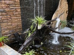 -山大王菌莊