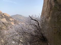 -北京凤凰岭