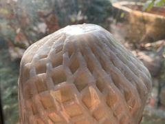 -春晖园度假酒店温泉