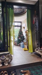 -威思丽高温瑜伽会馆