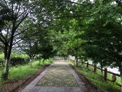 -凤凰沟景区