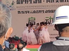 -昆明动物园