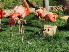 -沈阳森林动物园