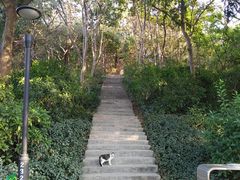 -广州雕塑公园