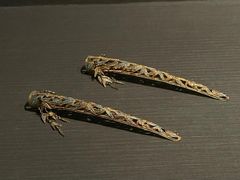 -台北故宫博物院