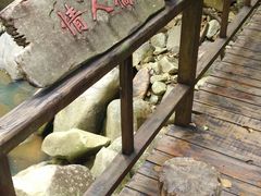 -海南霸王岭国家森林公园