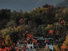 -塔川景区