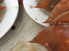 -春华海鲜城(广场西苑店)