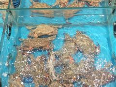 -隐厨·海鲜餐厅(恒通路店)