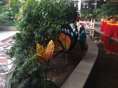 -红栌温泉山庄生态美食餐厅