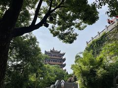 -黄鹤楼公园(黄鹤楼)