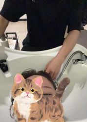 -ZAGA形象设计