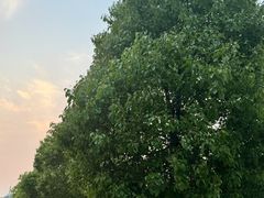 -汝萍传统蘸水菜(春华路总店)