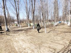 -亲兄弟真人CS团建拓展基地