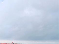 -红树林天天赶海