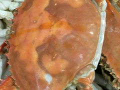 -渔家小院观海海肠捞饭地方菜(环海中路店)