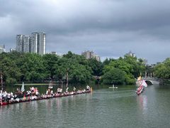 -荔湾湖公园