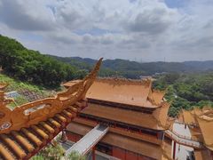 -东莞市大岭山森林公园