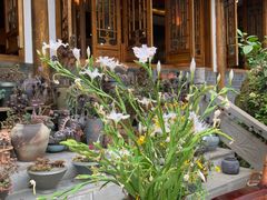 -华冠悠岚·庭院餐厅(青城后山店)