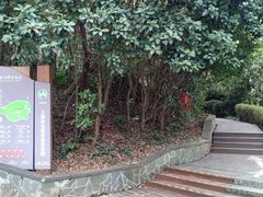 -上海佘山国家森林公园西佘山园