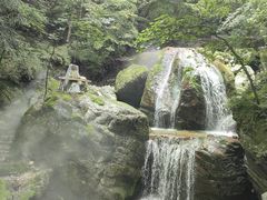 -牛背梁国家森林公园