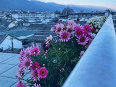 -唐咖精品咖啡(大理古城手冲店)