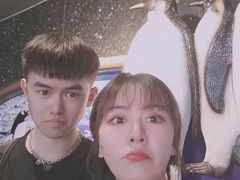 -成都浩海立方海洋公园