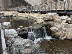 -白水寺森林公园