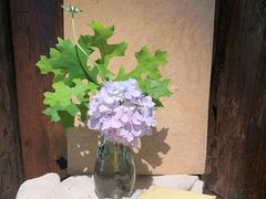 -陶享时光西餐·下午茶·竹林花园(新城店)