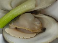 -锐记美食店·现捞海鲜(闸坡店)