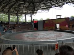 -石家庄市动物园