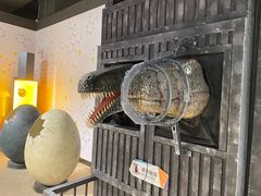 -正佳自然科学博物馆