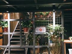 -西街夜油条·麻团包乌饭