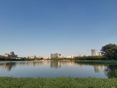-莲花池公园