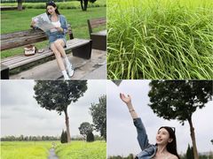 -汉长安城未央宫国家考古遗址公园