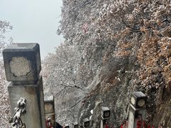 -终南山国家森林公园