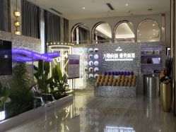 -深圳美莱医疗美容医院