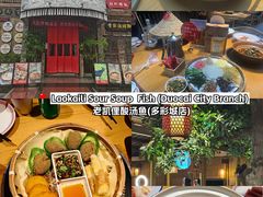 -老凯俚酸汤鱼(多彩城店)